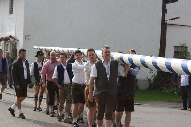 Maibaum 2013